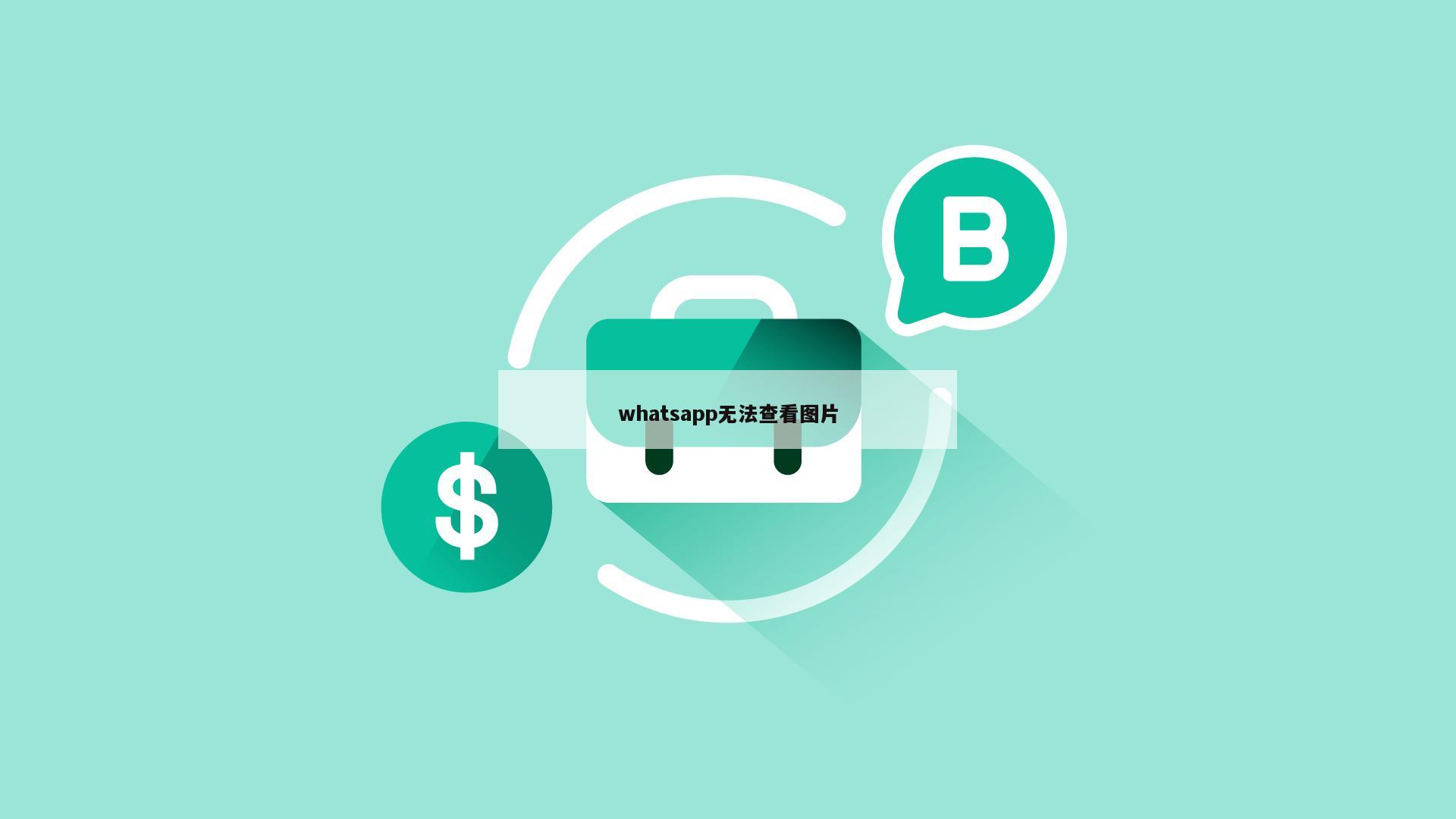 whatsapp无法查看图片
